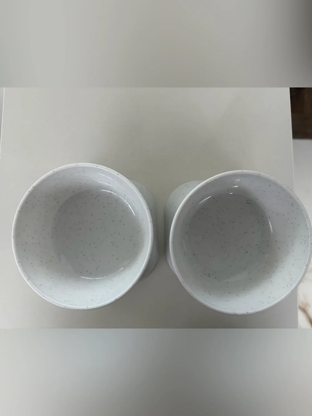 Cat Food and Water Bowls Tilted Elevated Raised Plastic Feeding Dishes Set of 4